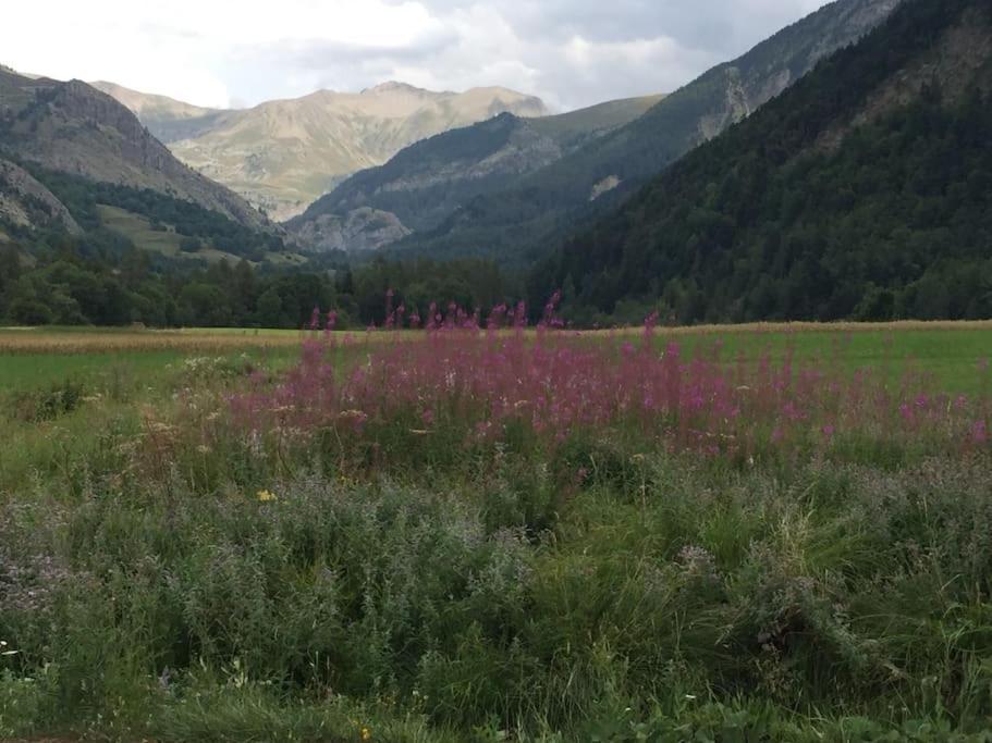 Appart Tres Ensoleille 5-6 Pers Au Pied Des Pistes Ancelle Buitenkant foto